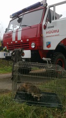 20161016194204-9b745dfa